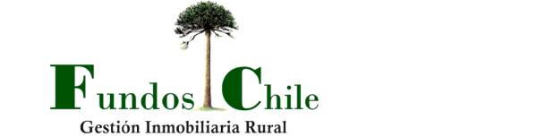 Corretaje propiedades rurales, parcelas – Fundos Chile