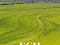 229 Hectáreas | Agricola y Ganadero