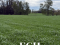 119 Hectáreas | Agrícola y Ganadero